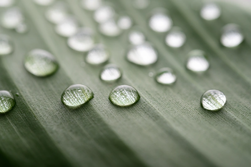 fethiye psikolojik danışmanlık merkezi